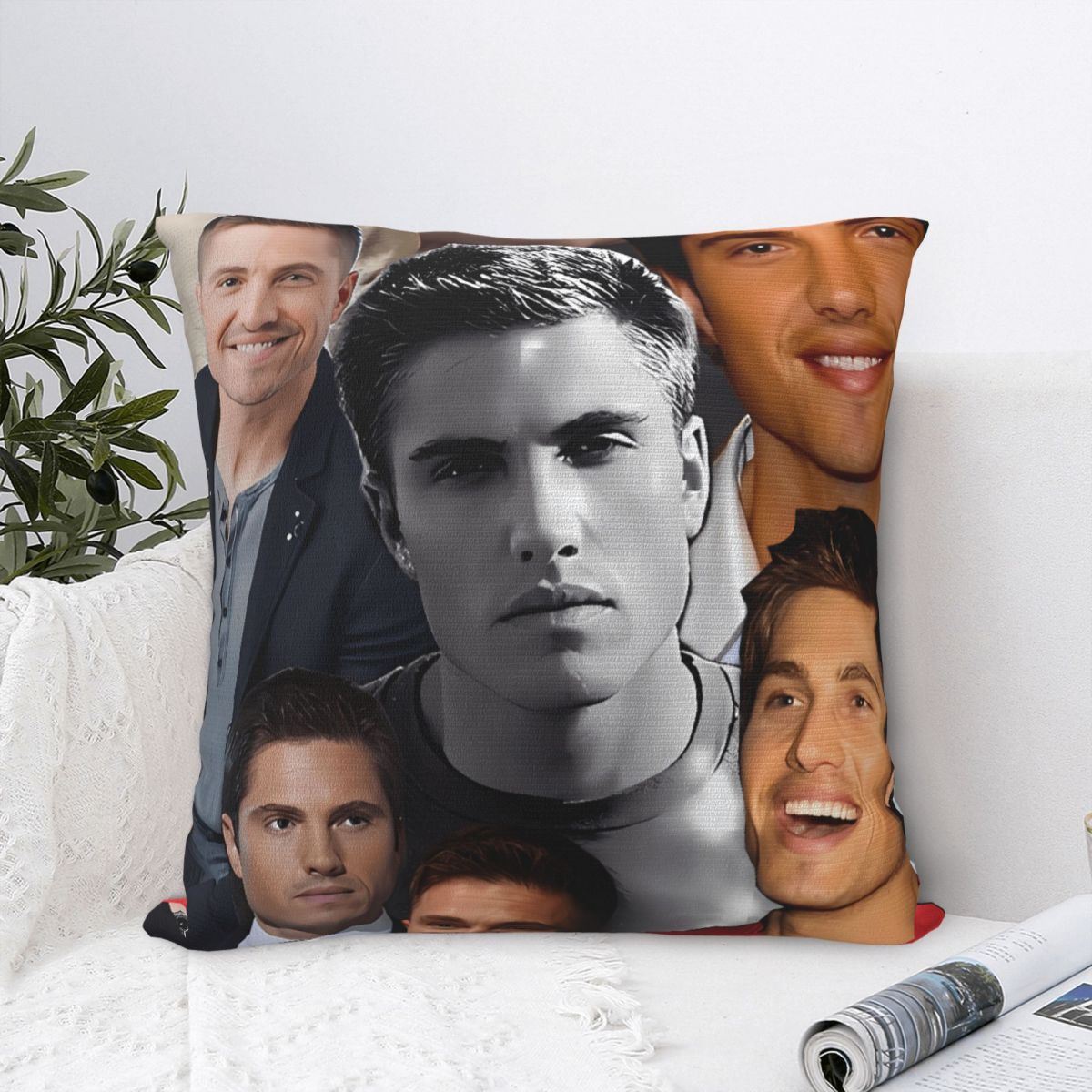Pillow Cover Tim Bradford Tv S - огляд і ціна Home Office Tim
